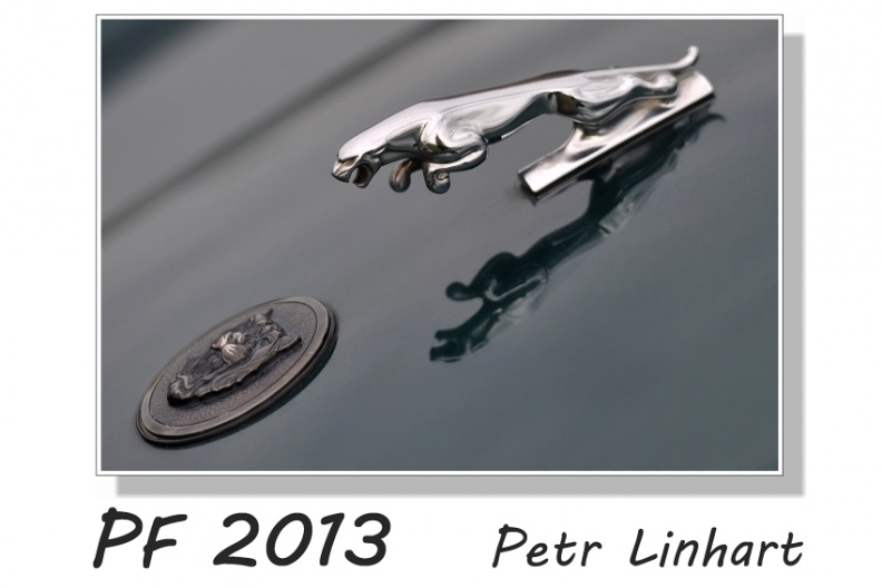 pf_2013(web).jpg