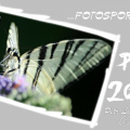 p.f.2021(web)